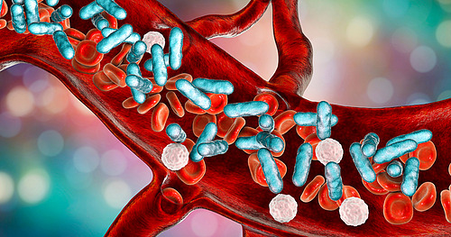 © Dr_Microbe / stock.adobe.com Blutvergiftung